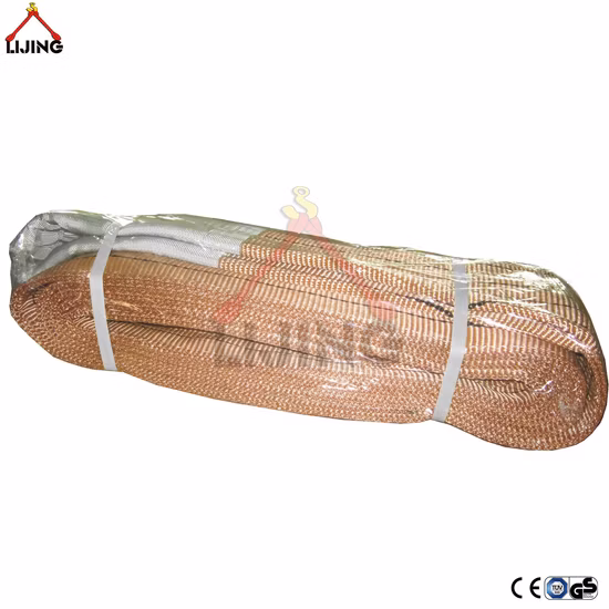 Polyester Lifting Webbing Slings 6t BS En1492
